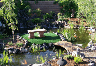 Backyard pond landscaping idea