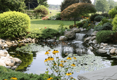 Backyard large pond idea