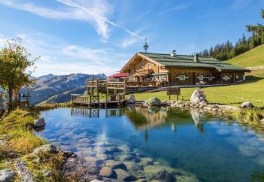 Backyard swimming pond idea
