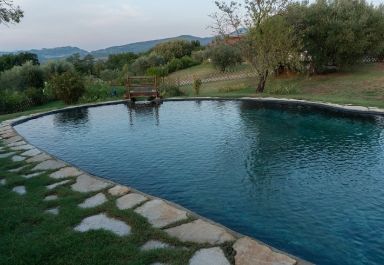 Backyard swimming pond idea