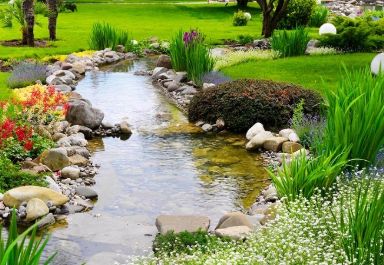 Backyard swimming pond idea