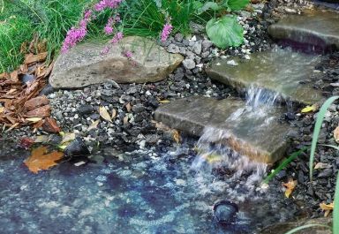 Backyard swimming pond idea