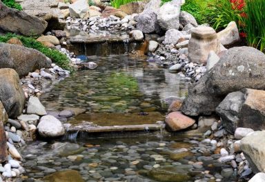 Backyard swimming pond idea