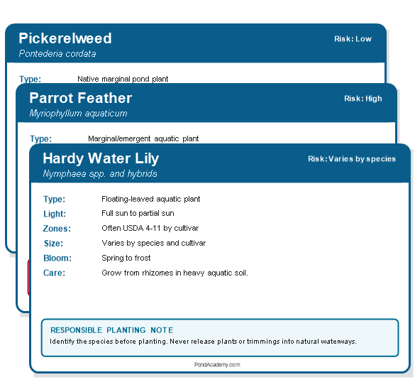 Preview of printable pond plant care cards