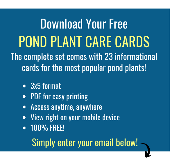 Download your free pond plant care cards