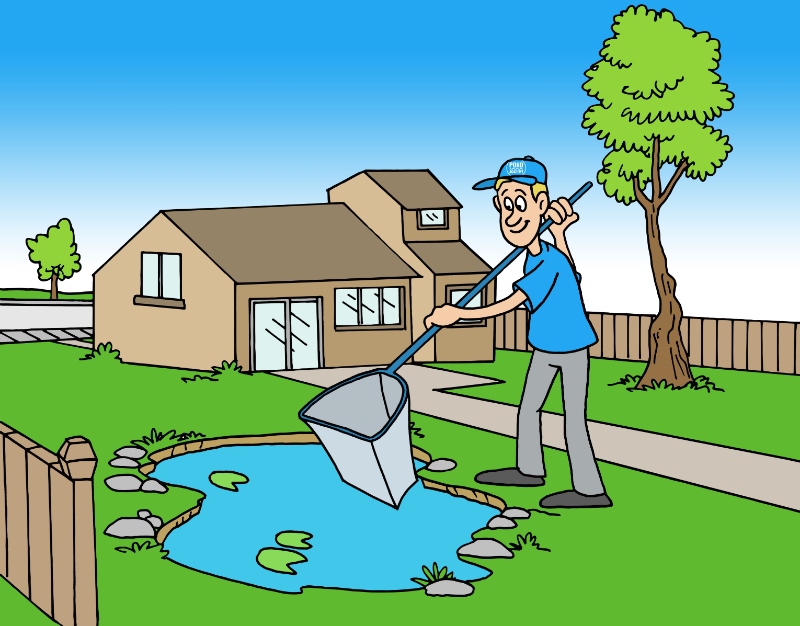cleaning a pond with a pond net