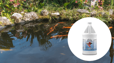 Pond Dechlorinator Products