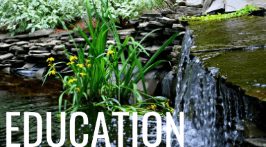 pond education articles