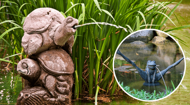 Pond Spitter Products