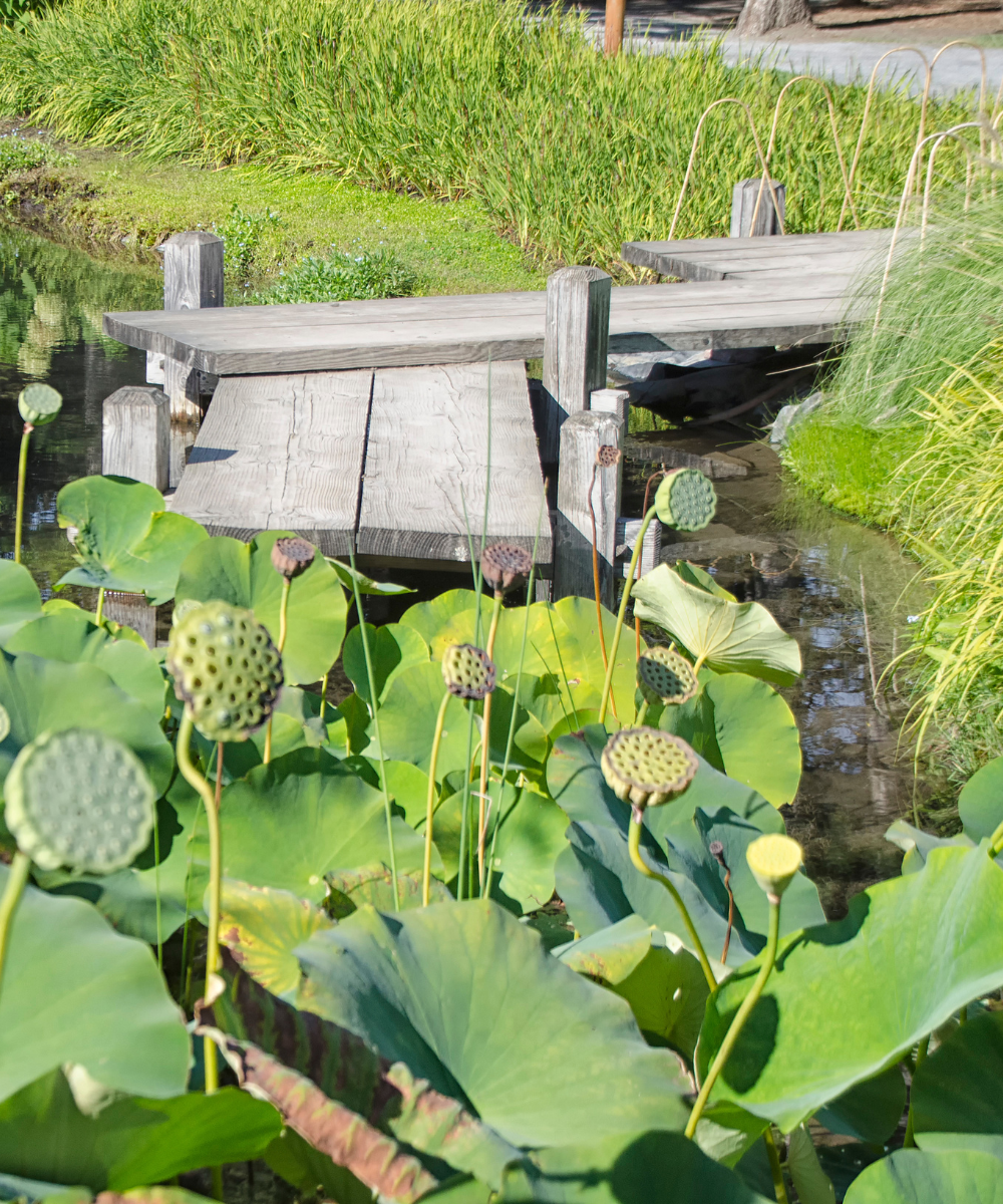 Pond dock idea 1
