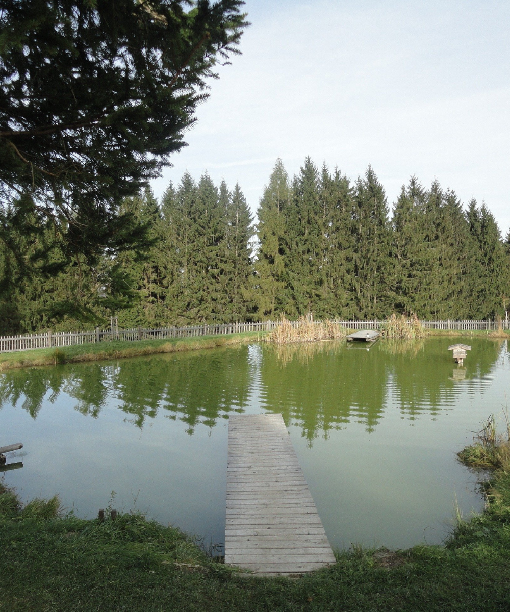 Pond dock idea 2