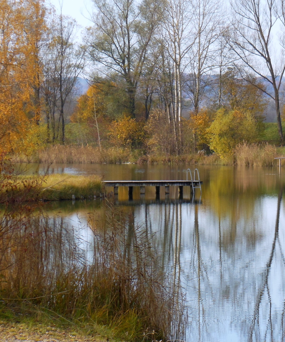 Pond dock idea 3