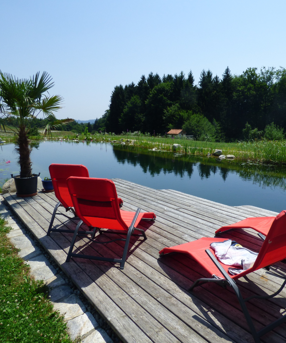 Pond dock idea 4