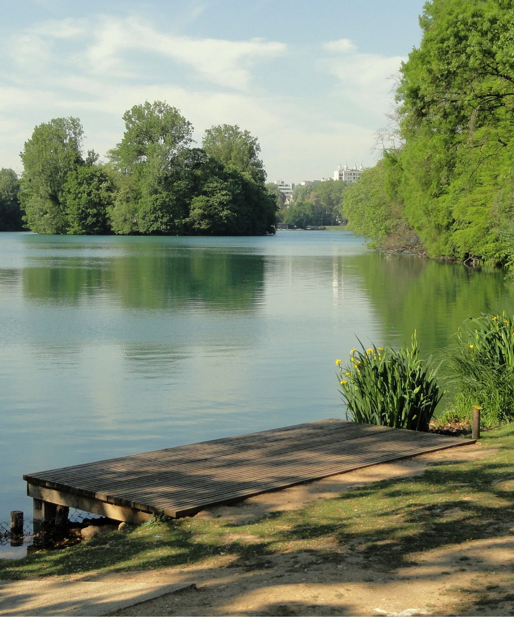 Pond dock idea 6