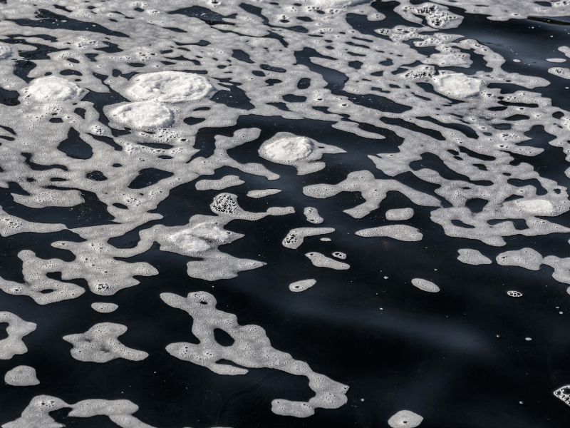 foamy pond water