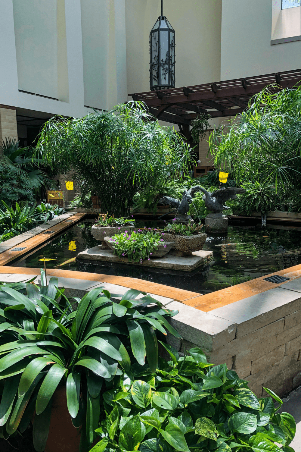 Indoor pond idea 2