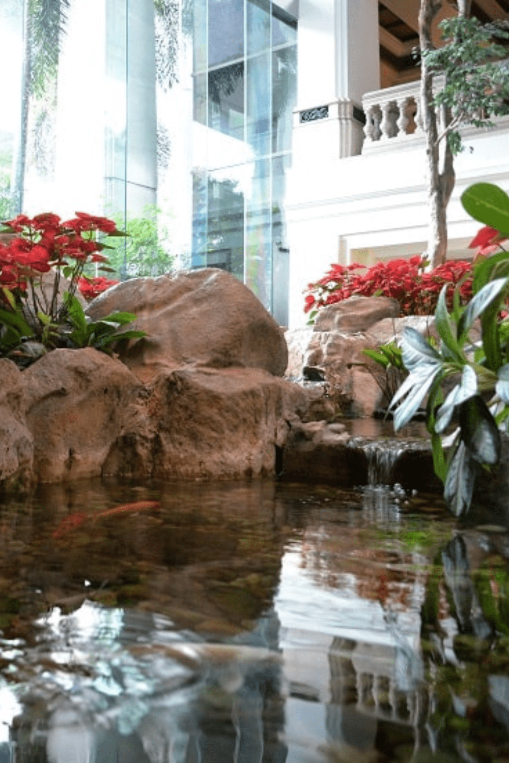 Indoor pond idea 7