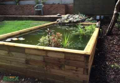 Koi Pond