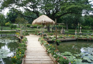 Koi Pond
