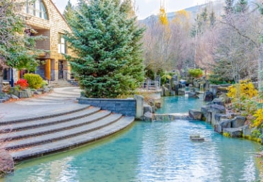 Koi Pond