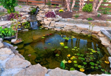 Koi Pond