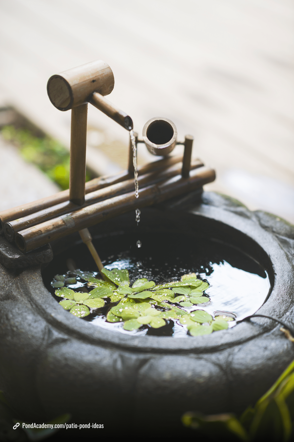 Patio pond idea 2