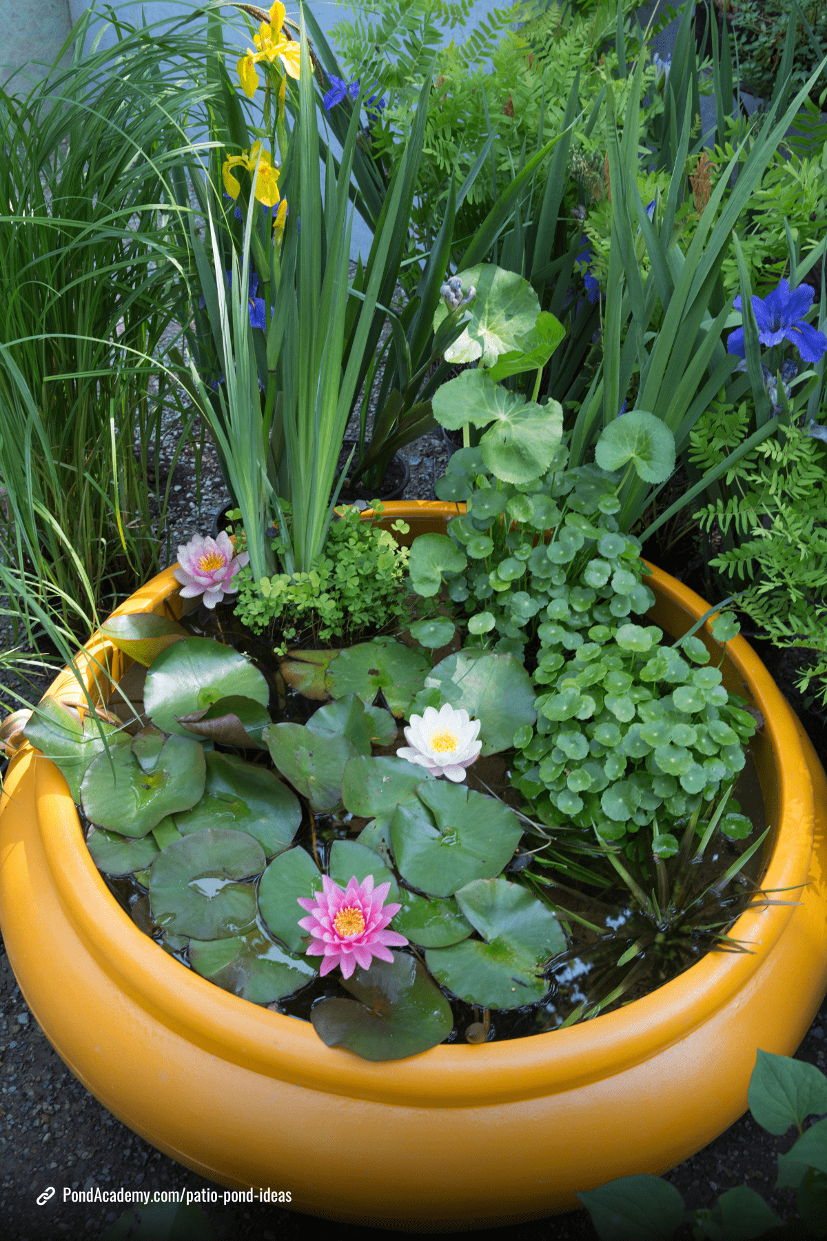 Patio pond idea 5
