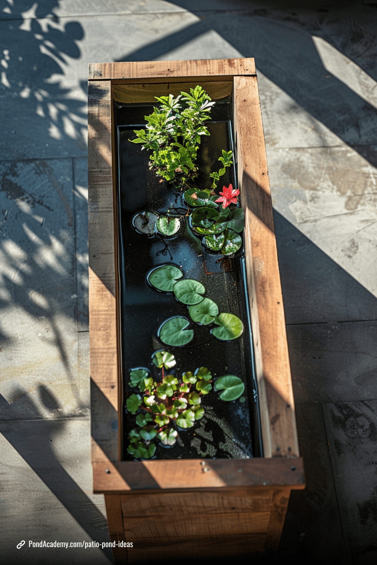 Patio pond idea 6
