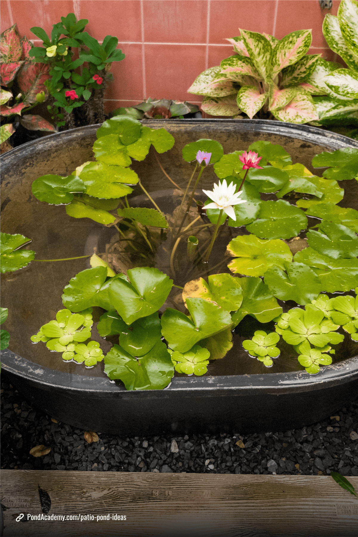 Patio pond idea 9