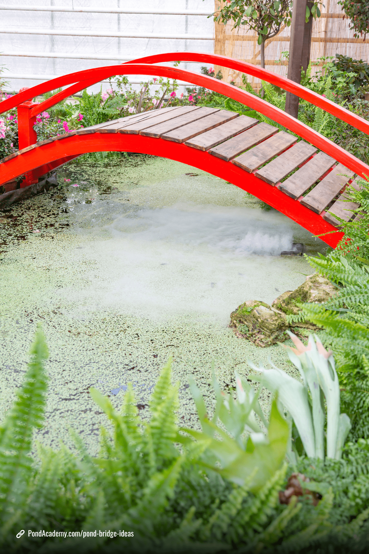 Pond bridge idea 17