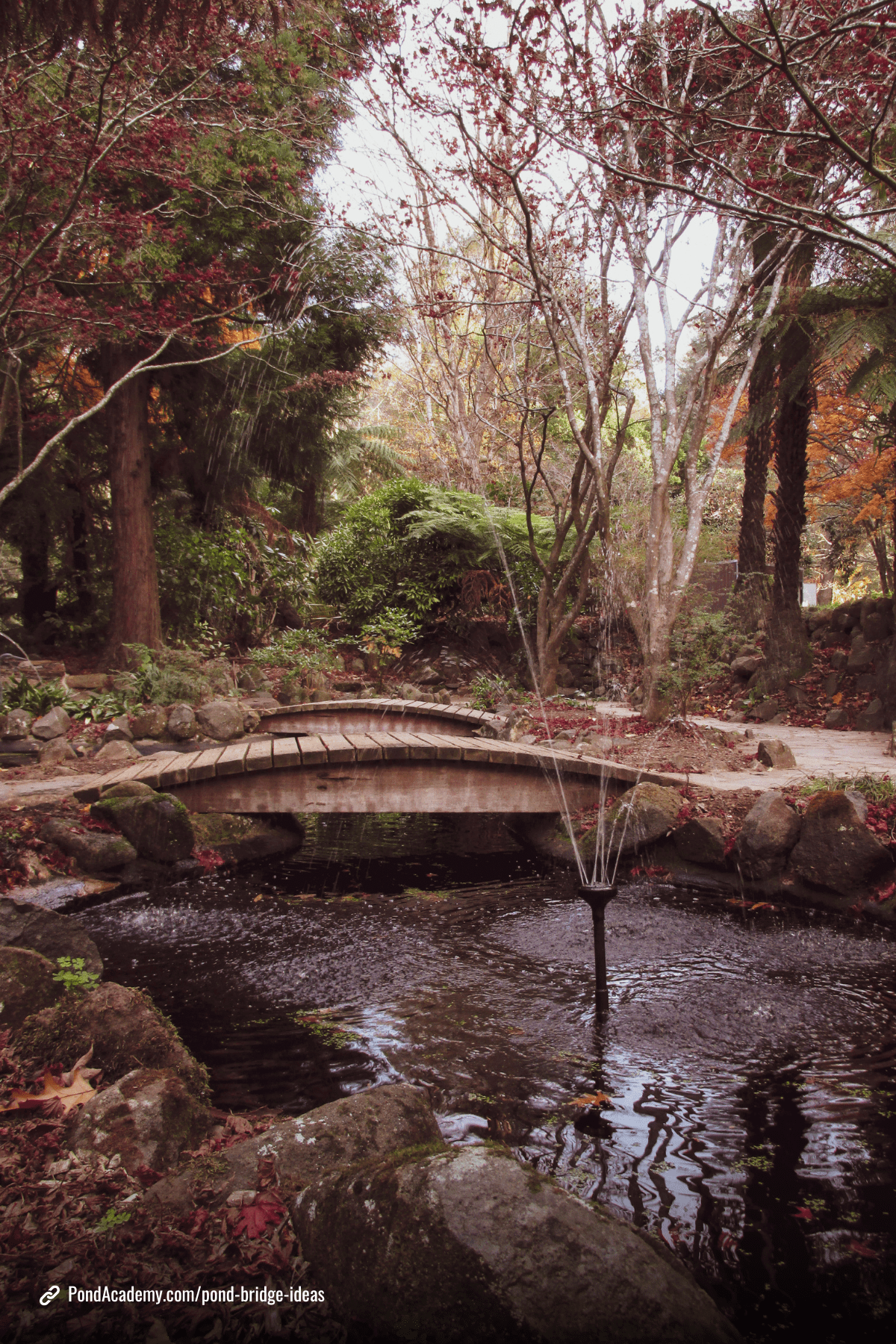 Pond bridge idea 18