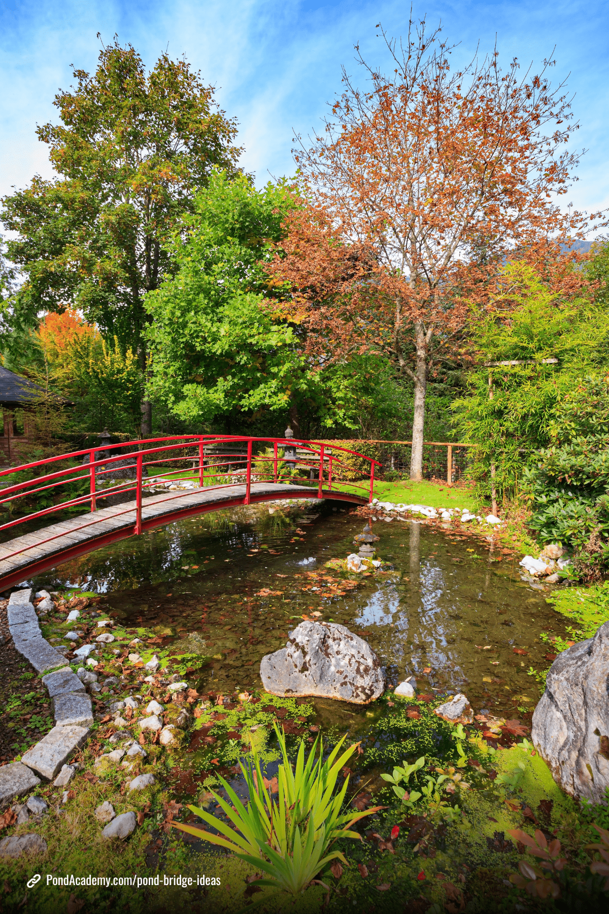 Pond bridge idea 20