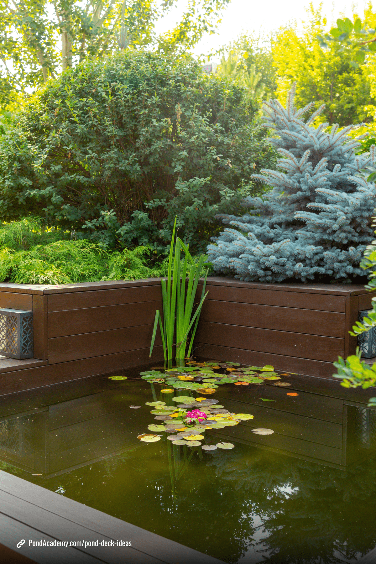 Pond deck idea 9