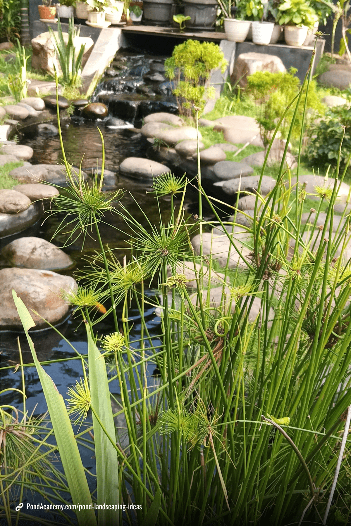 Pond landscaping idea 18