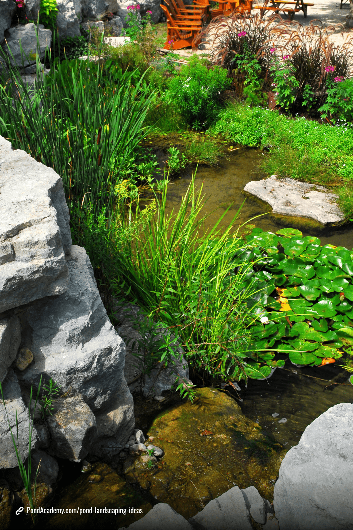 Pond landscaping idea 6