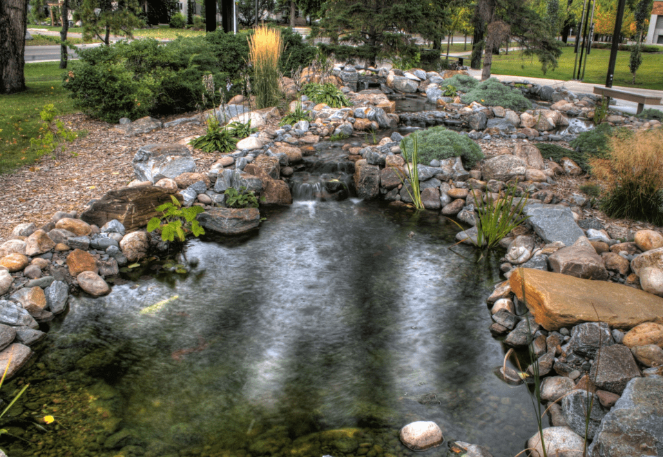 Waterfall Pond Idea 10