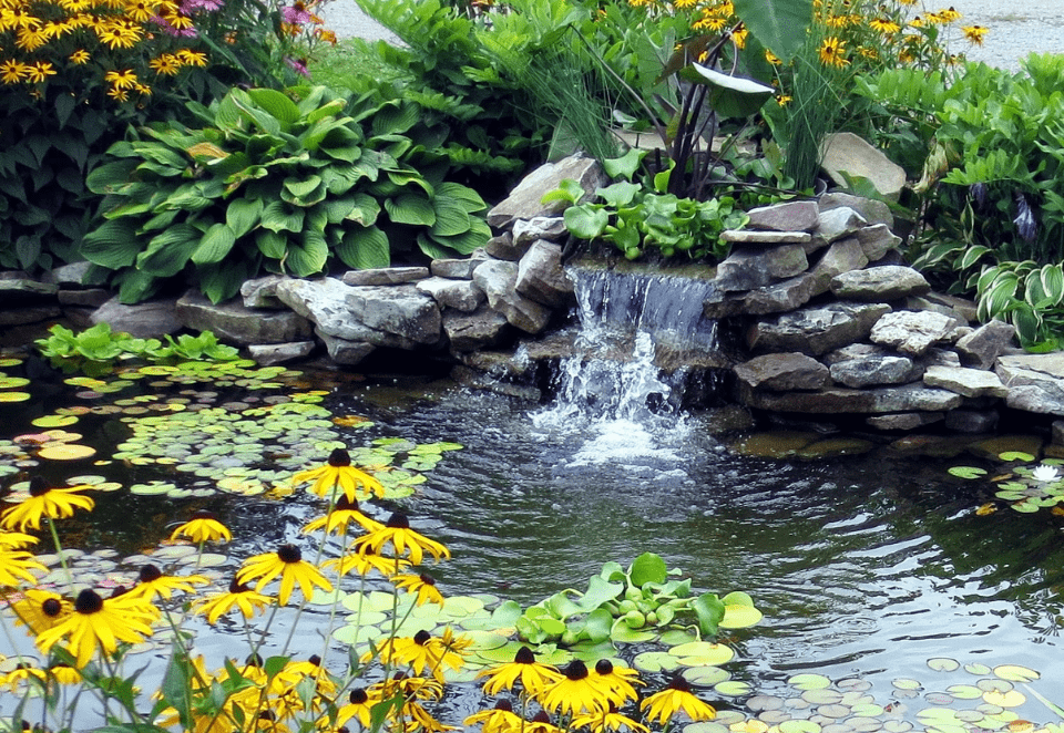Waterfall Pond Idea 11