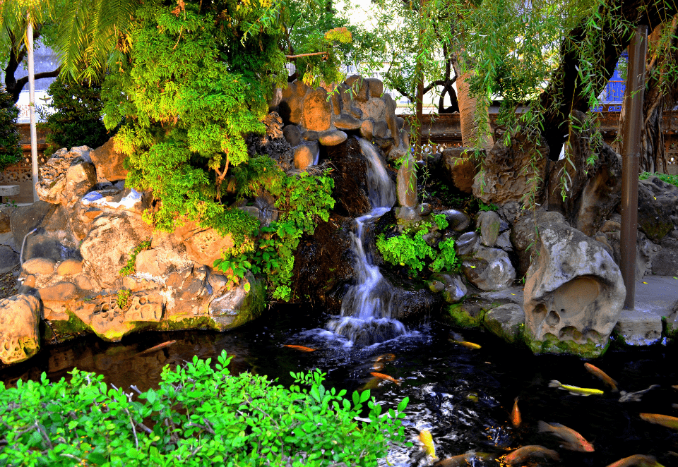 Waterfall Pond Idea 12
