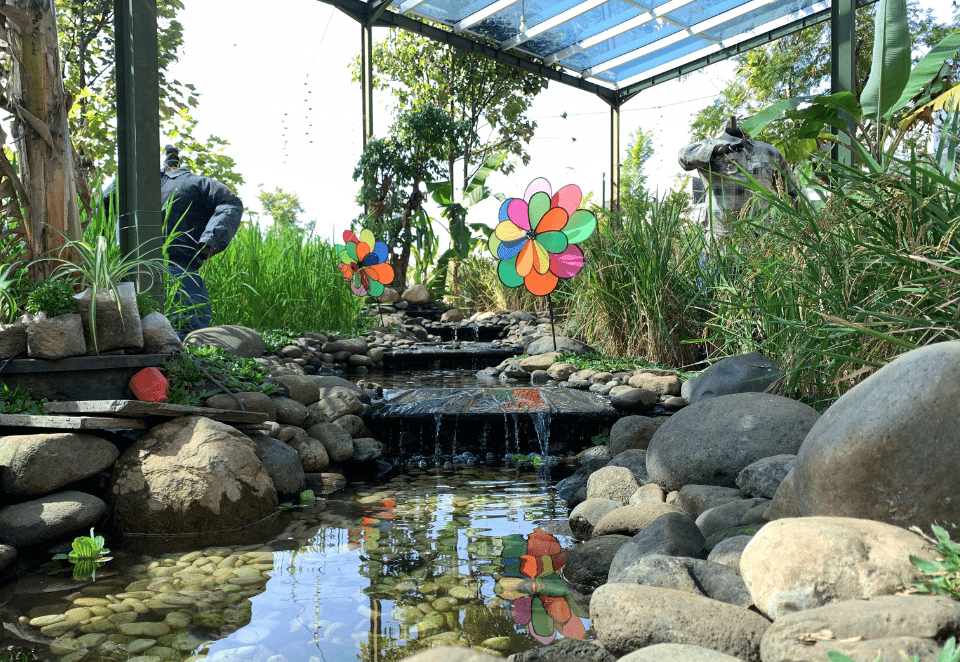 Waterfall Pond Idea 13