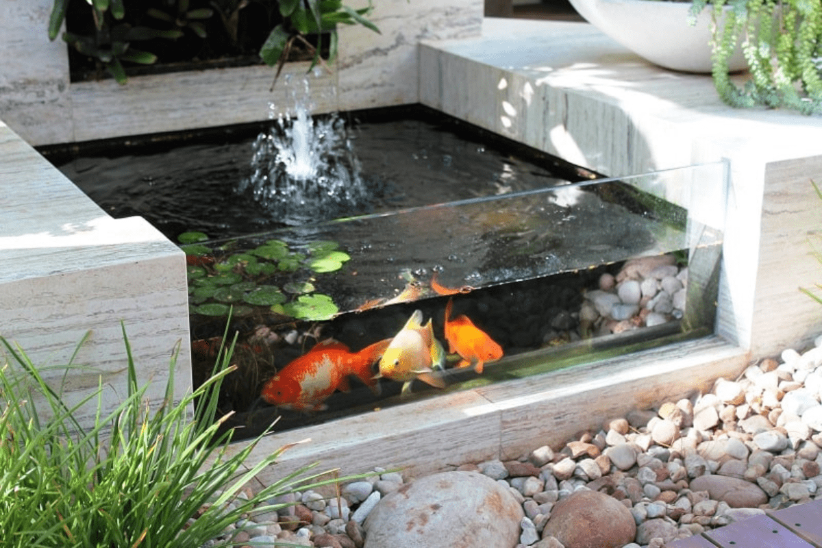 Raised garden pond idea 3