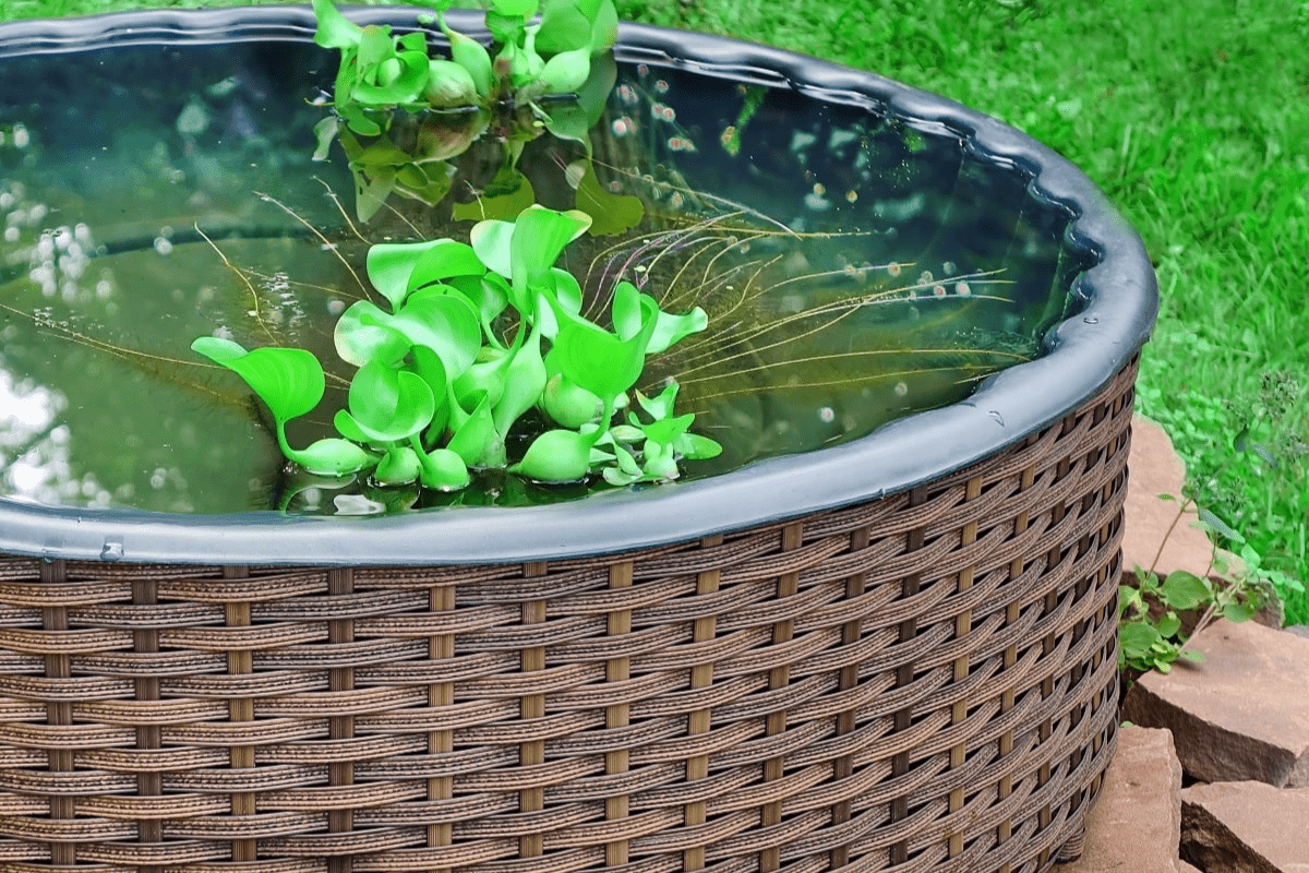 Raised garden pond idea 5