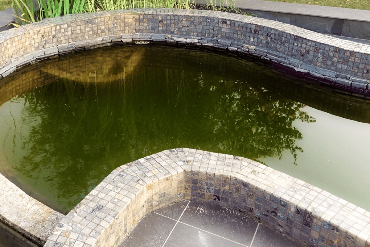 Small Corner Yard Waterfall Pond Idea 12