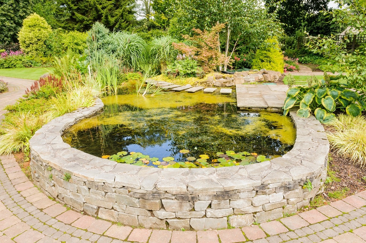 Small Corner Yard Waterfall Pond Idea 11