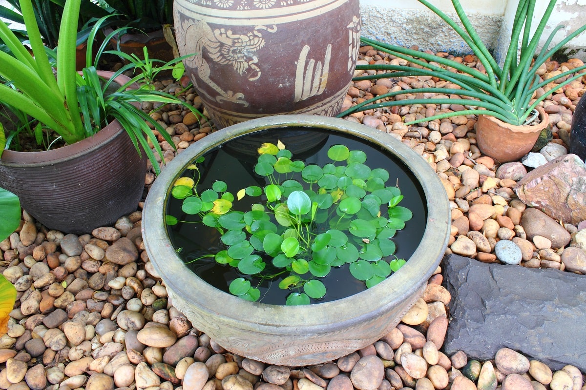 Small Corner Yard Waterfall Pond Idea 13