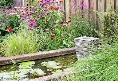 Concrete pond edge idea