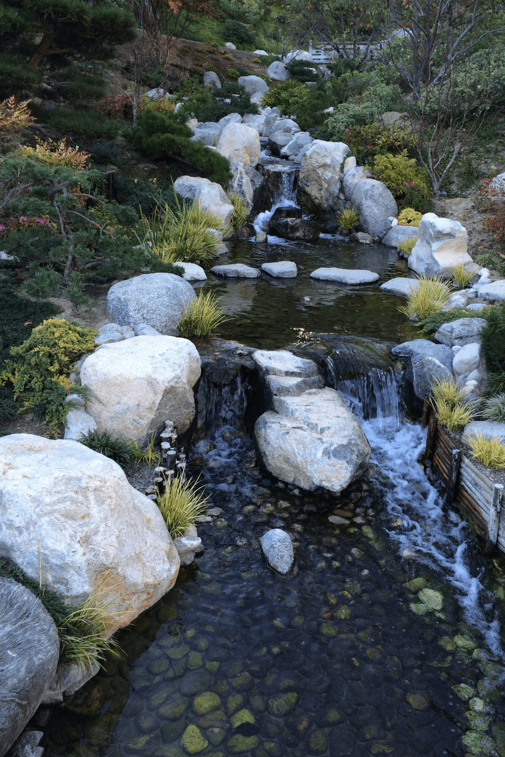 Backyard stream idea 10
