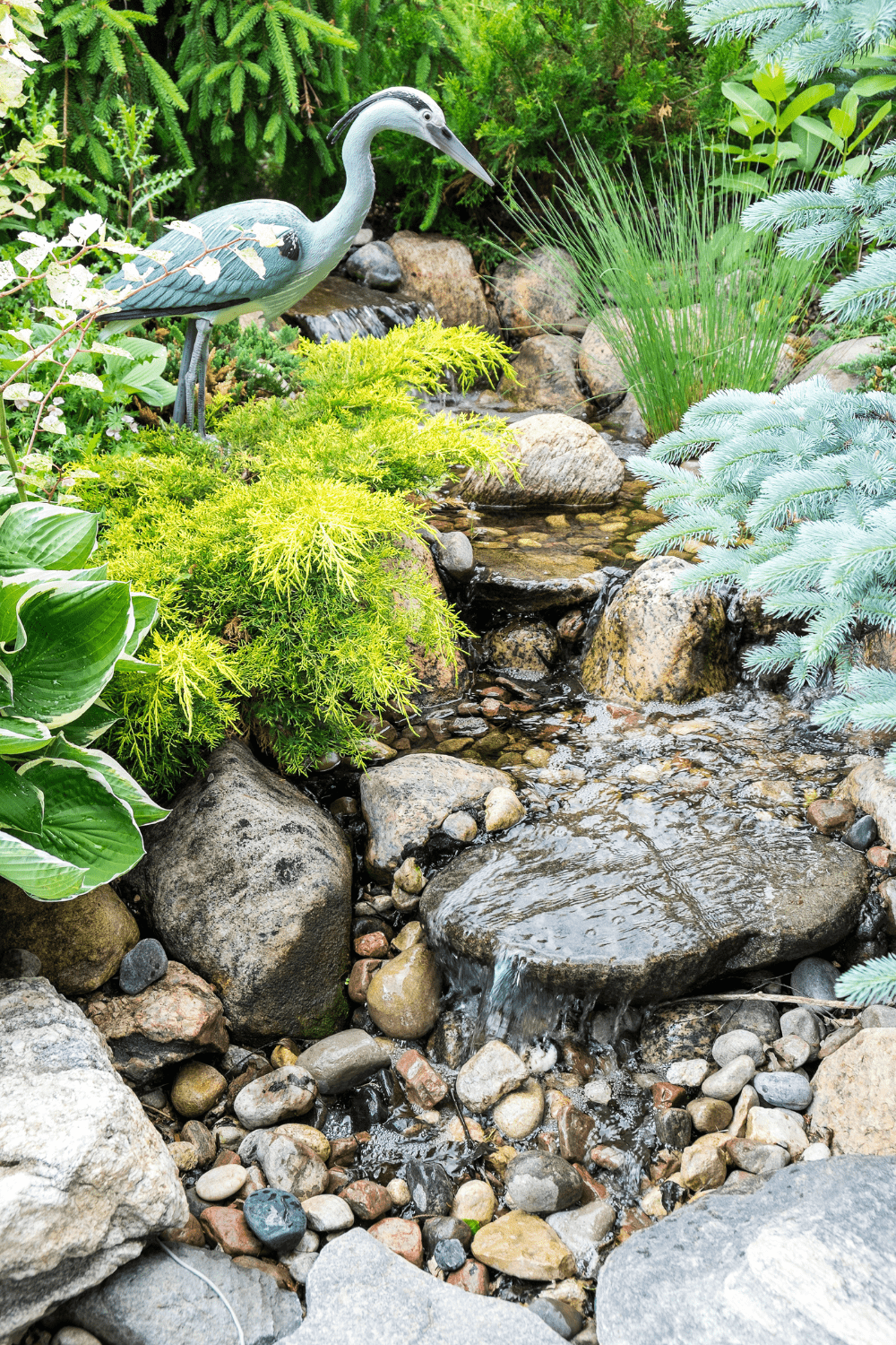Backyard stream idea 13