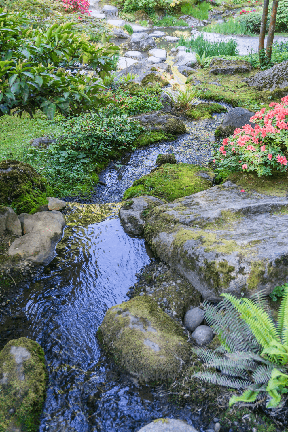 Backyard stream inspiration 14