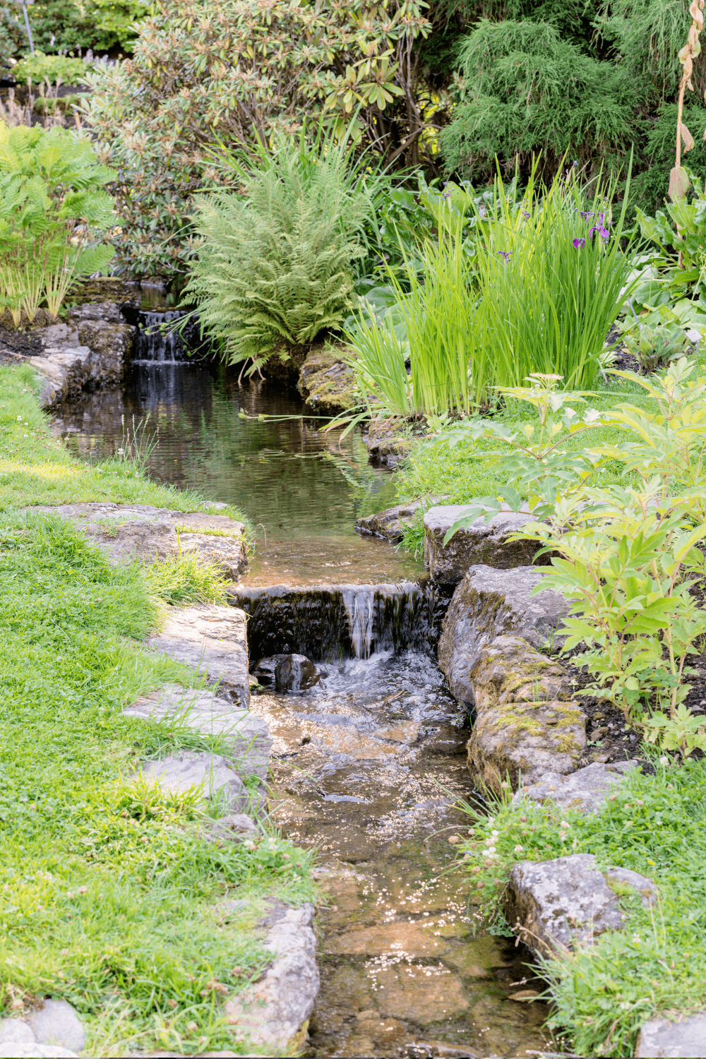 Backyard stream idea 16