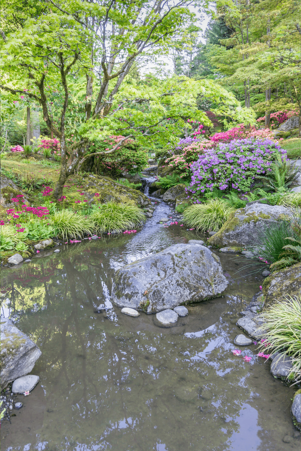 Backyard stream inspiration 17